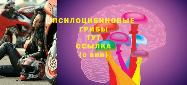 spice Алексин